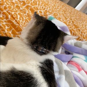 Meet your Posher, Janell